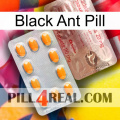 Black Ant Pill new13